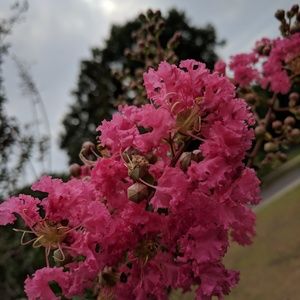 Meet your Posher, Colin